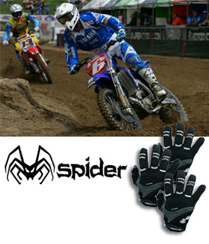 Spider